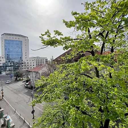 Town Spot - Premium - Sanador Victoriei * Bükreş