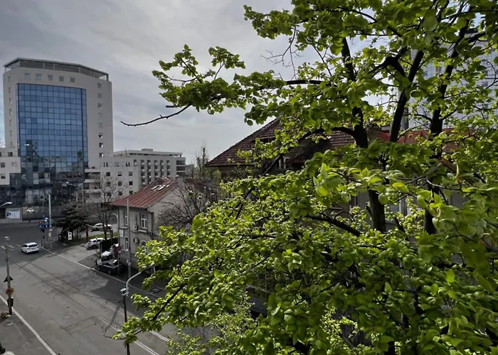 Town Spot - Premium - Sanador Victoriei Daire Bükreş